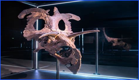 Unveiling Paul Sidoti's Net Worth: Discoveries And Insights