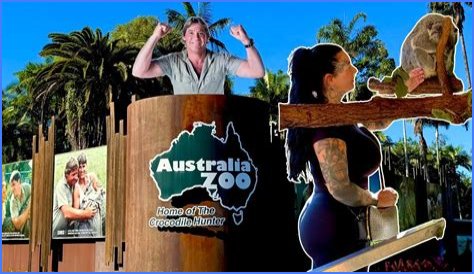 What Were Steve Irwin's Last Words? Uncovering the Truth About a Wildlife Legend's Final Moments